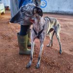 Gaza_IMG_20251230_181132