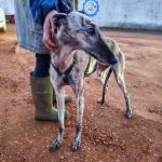 Gaza_IMG_20251230_181136