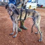 Gaza_IMG_20251230_181145