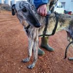 Gaza_IMG_20251230_181149