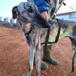 Gaza_IMG_20251230_181151