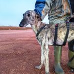 Gaza_IMG_20251230_181232