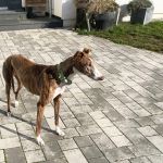 Gressy_ 2025-11-18 at 19-42-07