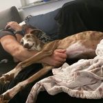 Gressy_2025-11-18 at 20-51-42