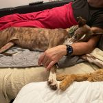 Gressy_2025-11-29 at 08-09-58