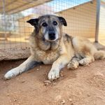 Greta_IMG_2450