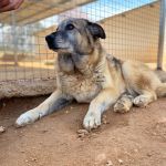 Greta_IMG_2451