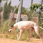 Gucci_IMG_5784