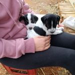 Gus_Bob_IMG-20251026-WA0015