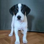 Gus_IMG-20251118-WA0079