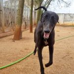 Hanka_IMG-20260308-WA0004