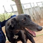 Hanka_IMG-20260308-WA0005