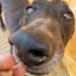 Hanka_IMG-20260308-WA0006