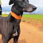 Hanka_IMG_2026030802