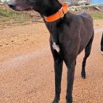 Hanka_IMG_20260308131