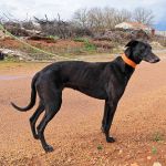 Hanka_IMG_2026030877