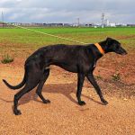 Hanka_IMG_20260308_135416