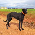 Hanka_IMG_20260308_135420