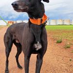 Hanka_IMG_20260308_135502