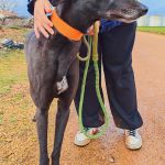 Hanka_IMG_20260308_135703