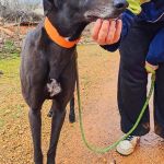 Hanka_IMG_20260308_135709