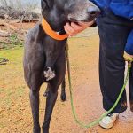 Hanka_IMG_20260308_135711