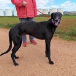 Hanka_IMG_20260315_1155431