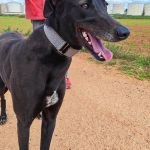 Hanka_IMG_20260315_115553