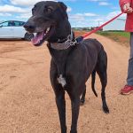 Hanka_IMG_20260315_115605