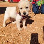 Honey_IMG_20250525_102343