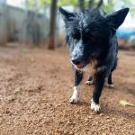 IMila_MG_20251116_103016