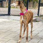 Ines_2025-102649