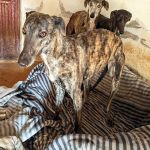 Ira_Beauty_NinaIMG_20260329_133819