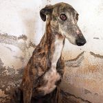 Ira_IMG_20260329_132319