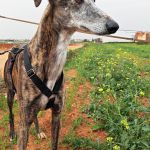 Ira_IMG_20260411_134209