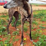 Ira_IMG_20260411_134319