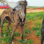 Ira_IMG_20260411_134344_