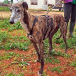 Ira_IMG_20260411_134406