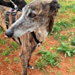 Ira_IMG_20260411_134424