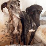 Ira_Nina_IMG_20260329_133806