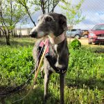 isabell_20250417_100813