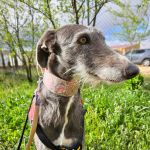 isabell_20250417_100825