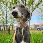 isabell_20250417_100917