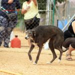 isabell_IMG_6059