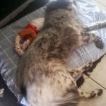 Iziar_2026-06-20_04