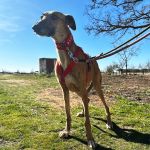 Jimena_2026-02-20 at 12-17-38