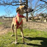 Jimena_2026-02-21 at 12-17-38