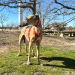 Jimena_2026-02-22 at 12-17-38