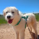 Jolie_2026-05-16 at 15-12-18