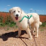 Jolie_2026-05-16 at 15-12-19